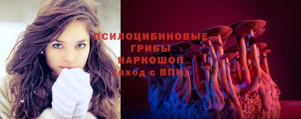 первитин Белокуриха