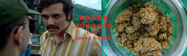 первитин Белокуриха
