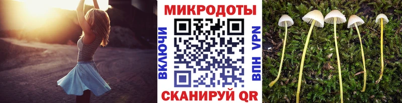 OMG зеркало  дарк нет какой сайт  Псилоцибиновые грибы GOLDEN TEACHER  хочу наркоту  Саяногорск 